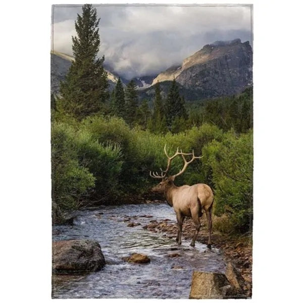 20" x 31.5" 1230 GSM Textured Non-Skid Dornier Rug