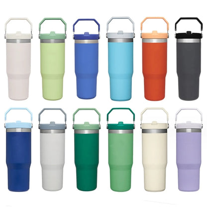Stainless Steel Vacuum Insulated Tumbler with Straw