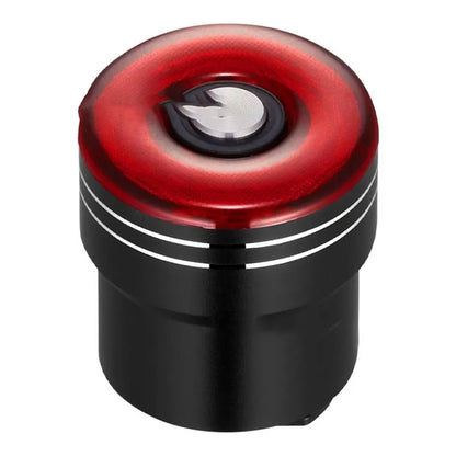 Smart Bike Tail Light
