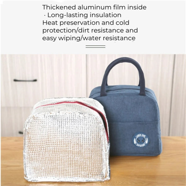 6L Insulated Lunch Bags for Women and Men