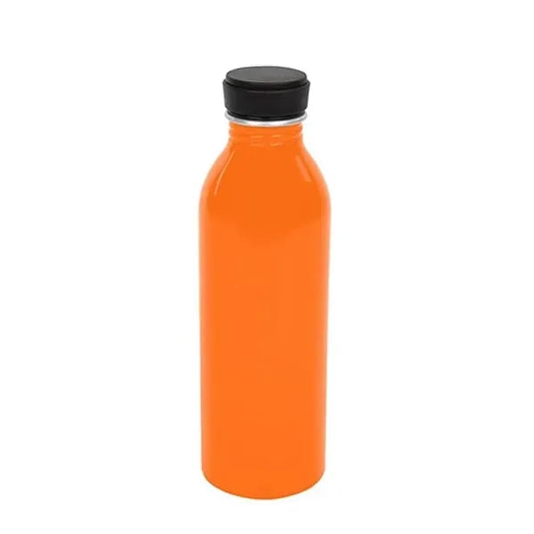 17 Oz. Aluminum Bottle