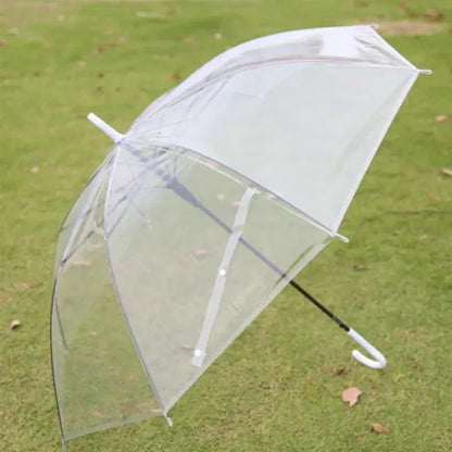 Transparent Umbrella