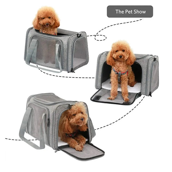 Cat Dog Carrier