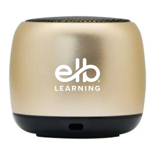 Infinitesimal Speaker