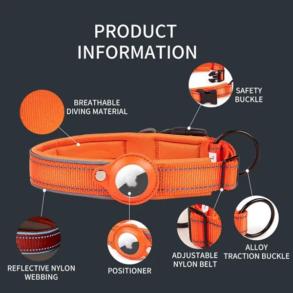 Dog Collar With Tag Holder Case