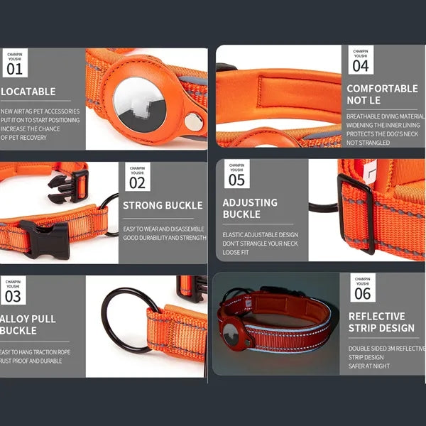 Dog Collar With Tag Holder Case