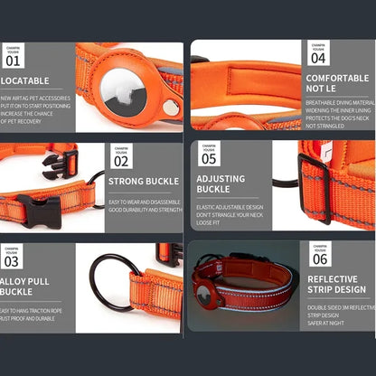 Dog Collar With Tag Holder Case