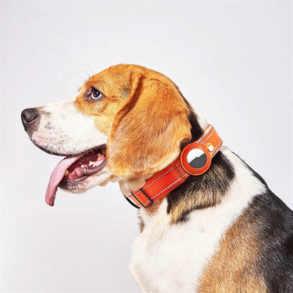 Dog Collar With Tag Holder Case