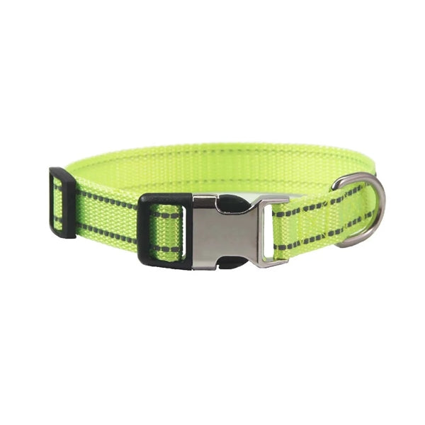 Dog Collar with Metal Buckle