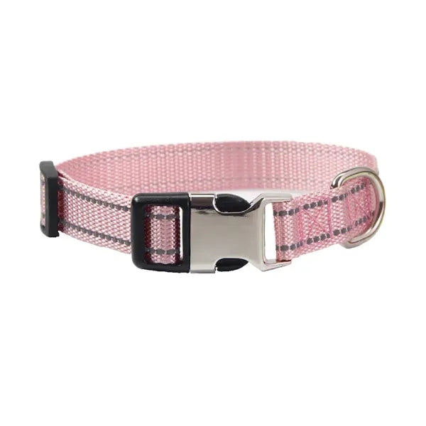 Dog Collar with Metal Buckle