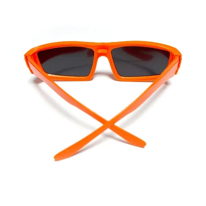 Total Solar Eclipse Viewing Glasses