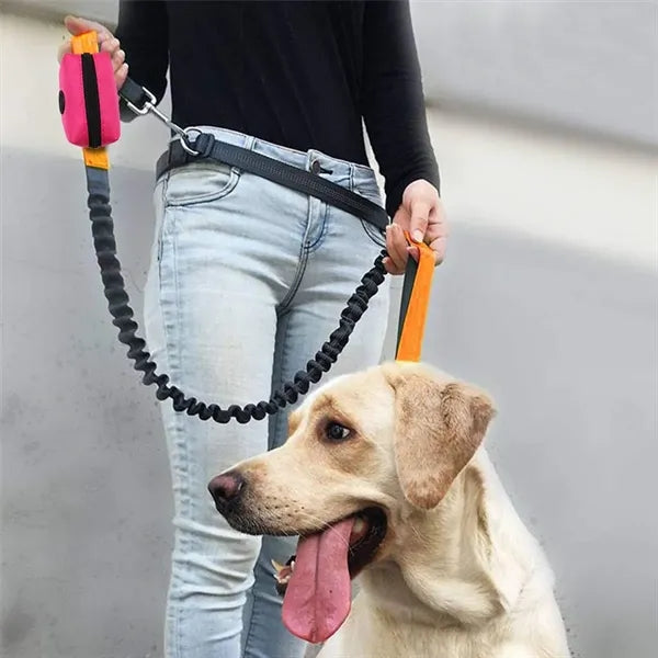 Pet Waste Bag Dispenser