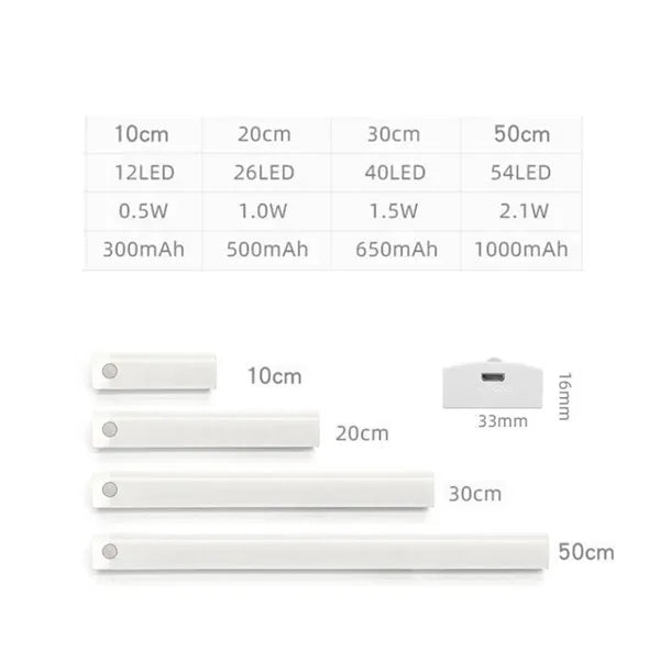 Motion Sensor Light