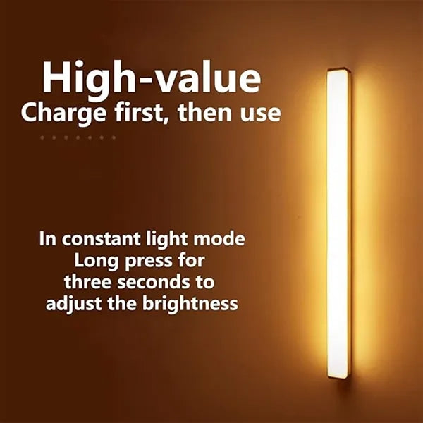 Motion Sensor Light