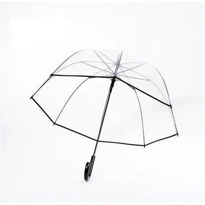 Vogue Clear Bubble Auto Open Arch Apollo Umbrella