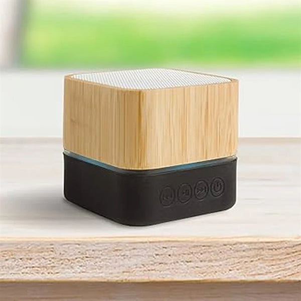 Mini Bluetooth Speaker