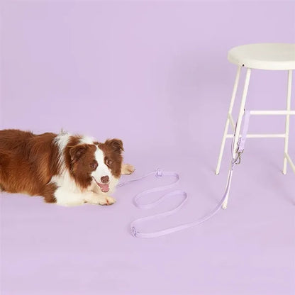 Pet Rope