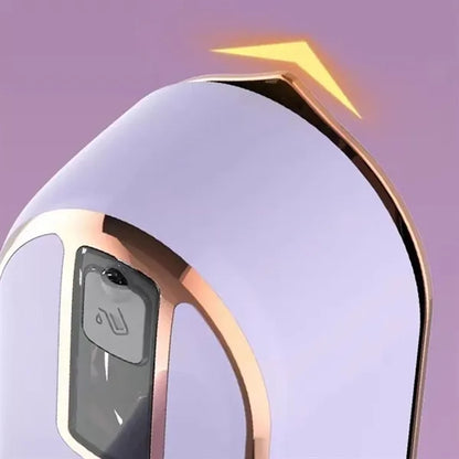 Mini steam iron