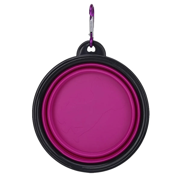 Collapsible Pet  Bowls with Carabiners