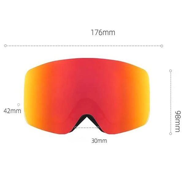Ski Goggles