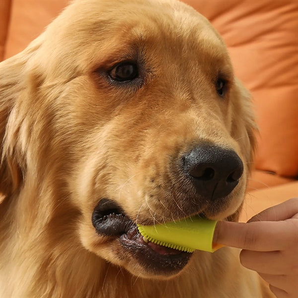 Gentle Clean Pet Toothbrush