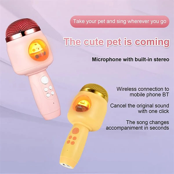 Handheld Wireless Microphone
