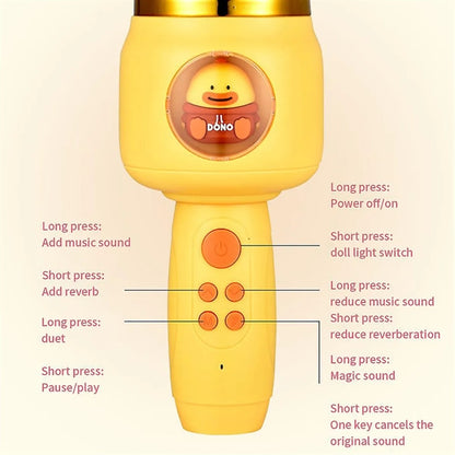 Handheld Wireless Microphone