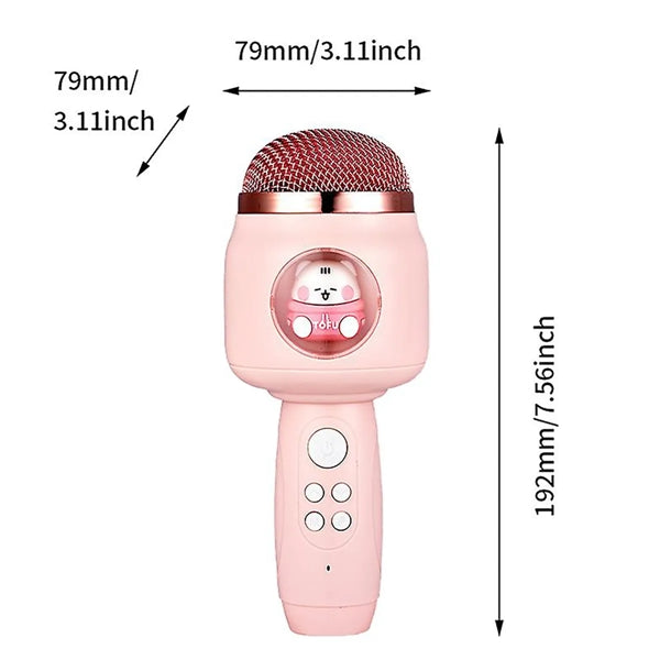 Handheld Wireless Microphone