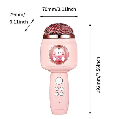 Handheld Wireless Microphone