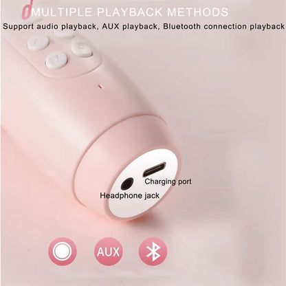 Handheld Wireless Microphone