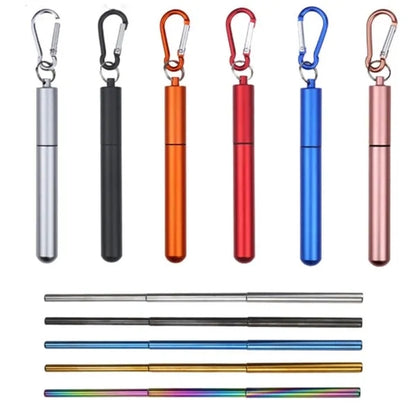 Telescopic Straw with Case