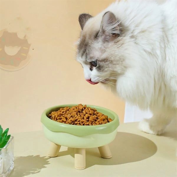 Four Legged Pet Bowl