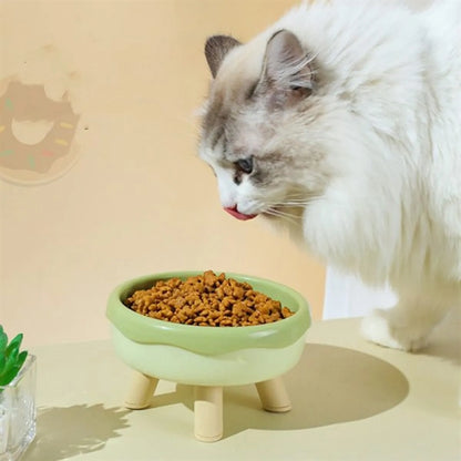 Four Legged Pet Bowl