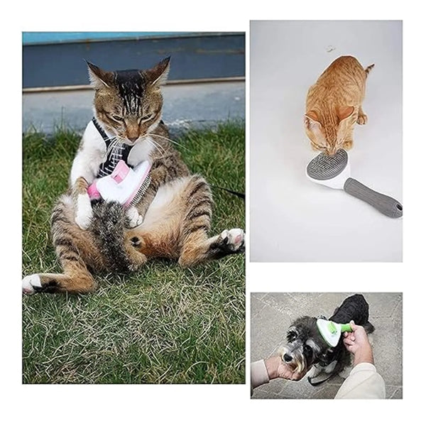 Pet Brush