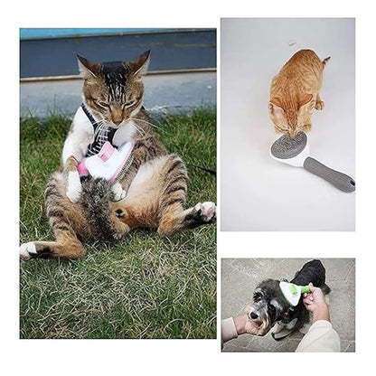 Pet Brush