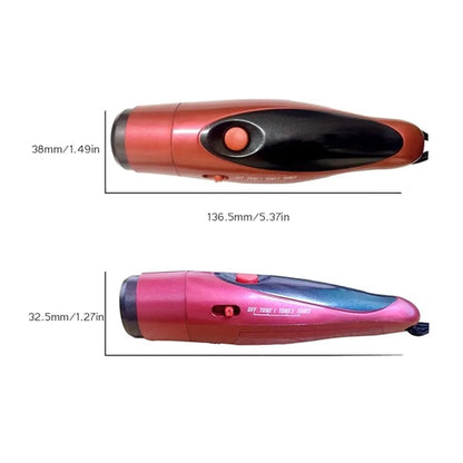 Electronic Whistle