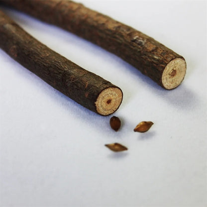 Disposable Creative Original Ecological Wooden Ballpoint Pen
