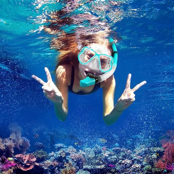 Dry Snorkel Set/Professional Snorkeling Gear