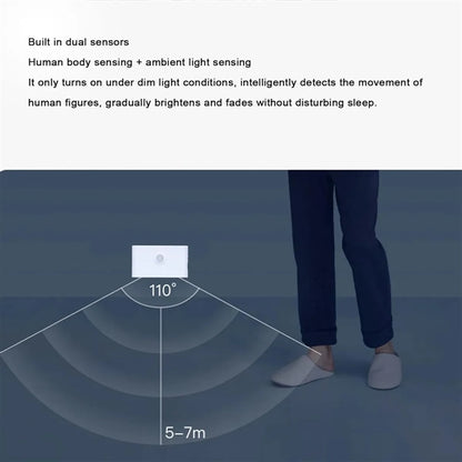 Motion Sensor Light