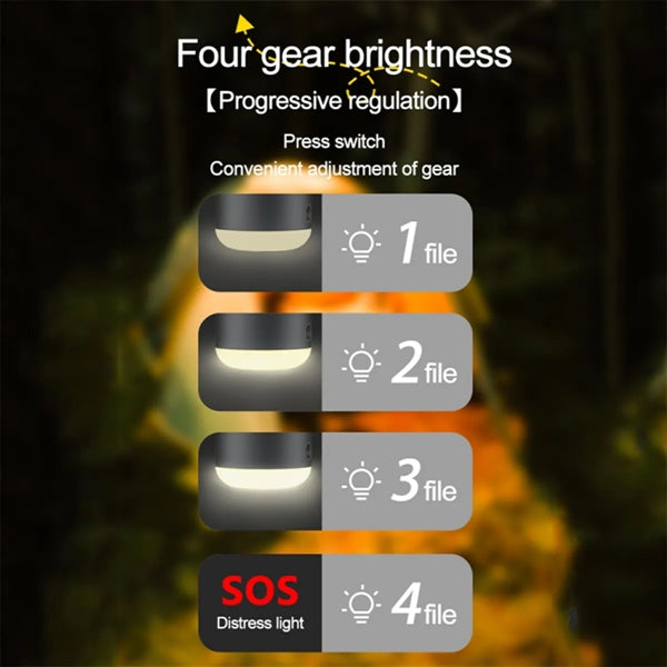 Multifunctional Outdoor Fan Spray Camping Light