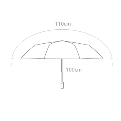 Rainbow Umbrella