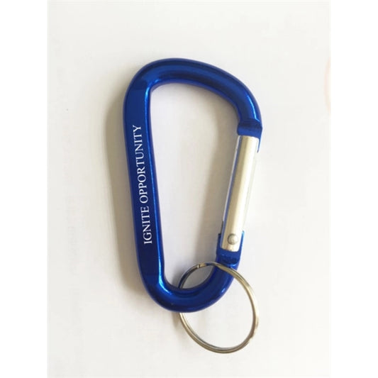 Aluminum Carabiner With Key Ring