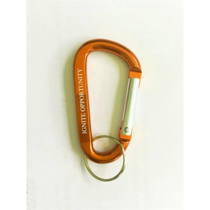 Aluminum Carabiner With Key Ring