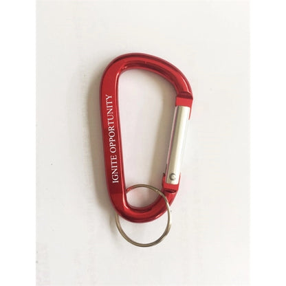 Aluminum Carabiner With Key Ring