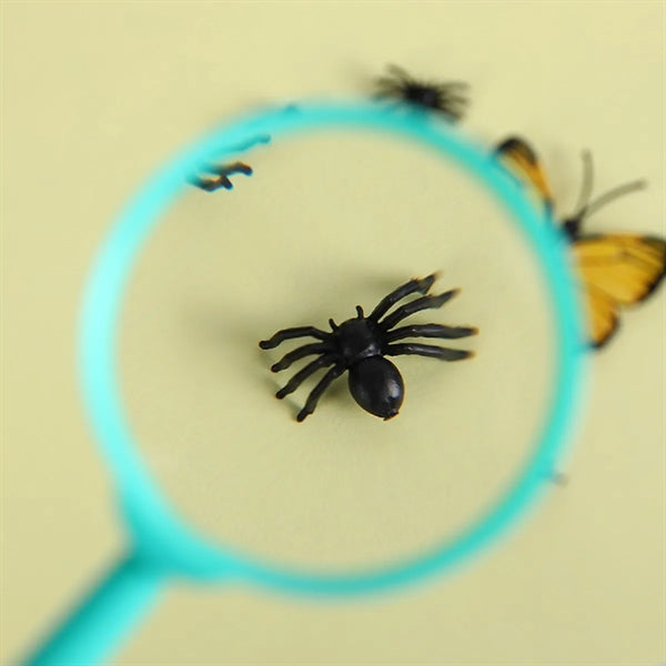 Mini Handheld Magnifying Lenses