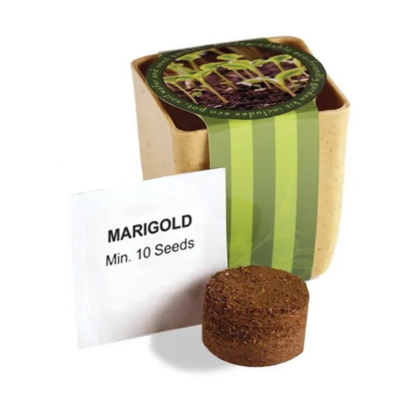Flower Pot Set With Marigold Seeds
