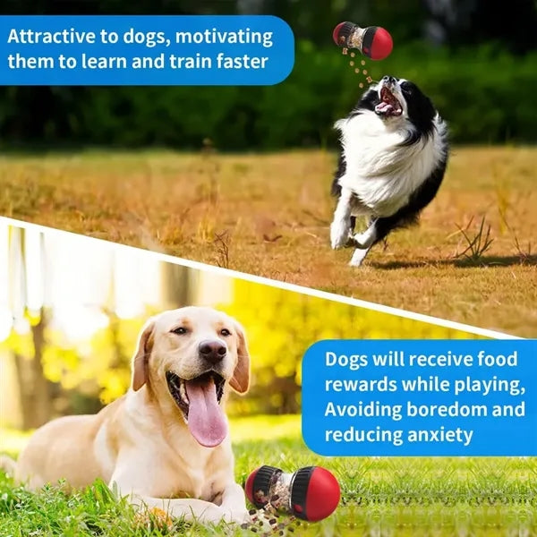 Treat Dispensing Dog Toys