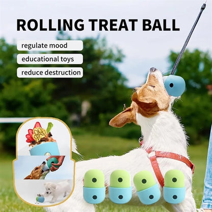 Pet Teething Puzzle Dog Ball