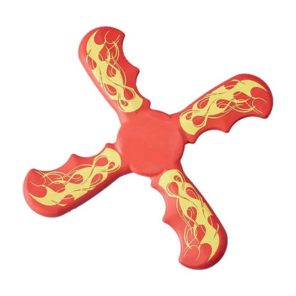 Boomerang Toy