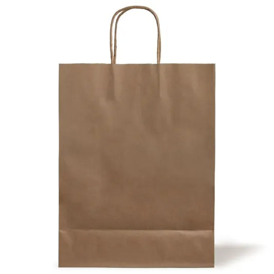 10 X 13 Inch Custom Twisted Handle Paper Shopping Bags